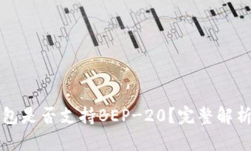 TP钱包是否支持BEP-20？完整解析指南