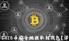 如何将SHIB币安全地提取到