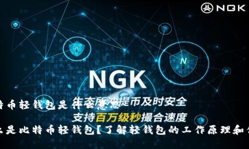 比特币轻钱包是什么意思

什么是比特币轻钱包？了解轻钱包的工作原理和优势
