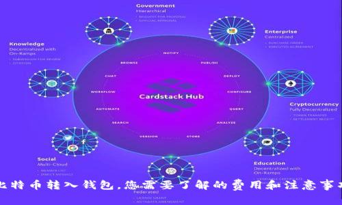 比特币转入钱包，您需要了解的费用和注意事项