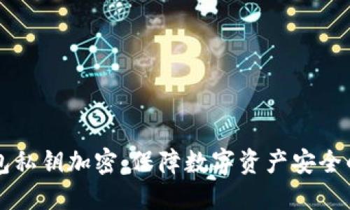 以太坊钱包私钥加密：保障数字资产安全的最佳实践