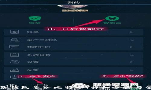 
如何通过身份钱包导入比特币：详细步骤与常见问题解答