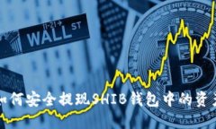 如何安全提现SHIB钱包中的
