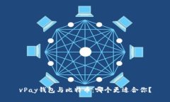vPay钱包与比特币：哪个更