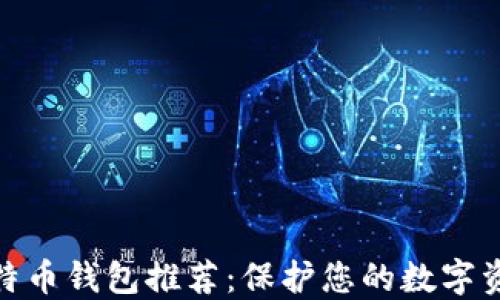 
最安全的比特币钱包推荐：保护您的数字资产免受风险