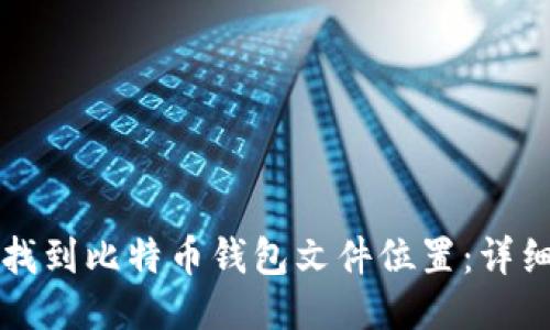 如何找到比特币钱包文件位置：详细指南