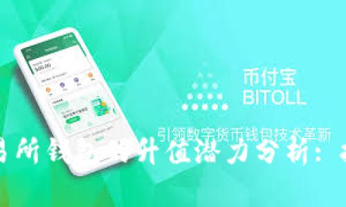 以太坊交易所钱包的升值潜力分析: 投资者必看