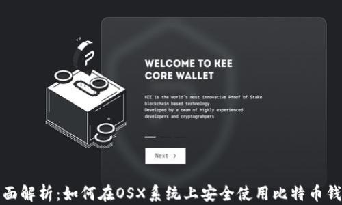 
全面解析：如何在OSX系统上安全使用比特币钱包