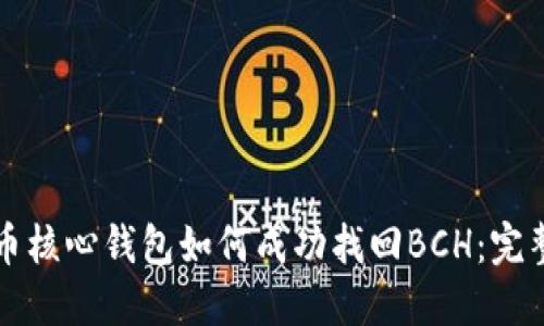 比特币核心钱包如何成功找回BCH：完整指南