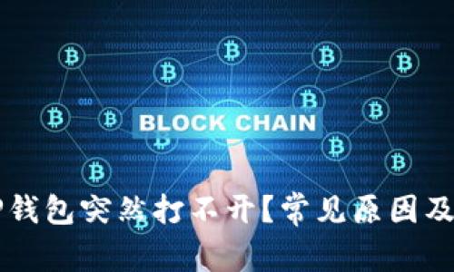 为什么TP钱包突然打不开？常见原因及解决方案