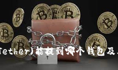 : 泰达币(Tether)能提到哪个钱包及其使用指南
