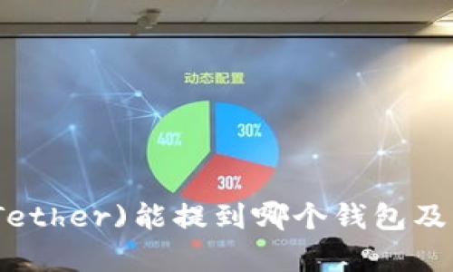 : 泰达币(Tether)能提到哪个钱包及其使用指南