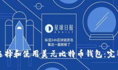 如何选择和使用美元比特