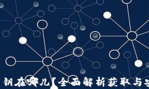 
TP钱包私钥在哪儿？全面解析获取与安全问题！