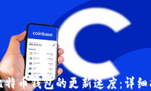 
如何加快比特币钱包的更新速度：详细指南与技巧