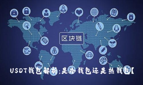 USDT钱包解析：是冷钱包还是热钱包？
