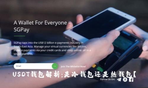 USDT钱包解析：是冷钱包还是热钱包？