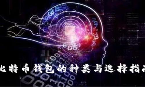 比特币钱包的种类与选择指南