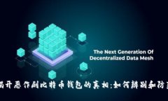 揭开恶作剧比特币钱包的
