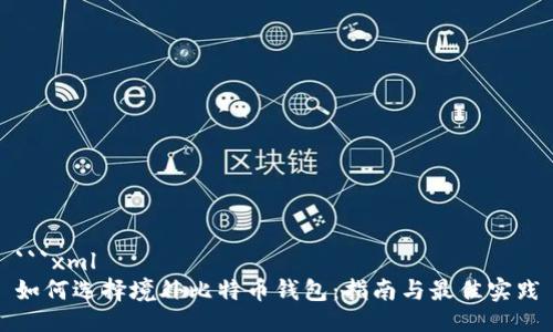 ```xml
如何选择境外比特币钱包：指南与最佳实践