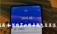 全面指南：如何购买比特