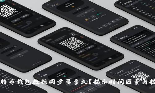 比特币钱包数据同步要多久？揭示时间因素与技巧