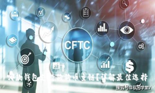 哪款钱包支持狗狗币主链？详解最佳选择