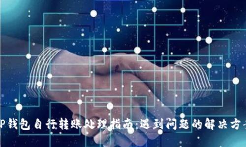 TP钱包自行转账处理指南：遇到问题的解决方案
