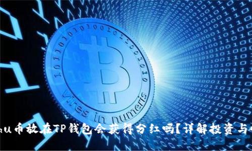 Kishu币放在TP钱包会获得分红吗？详解投资与收益