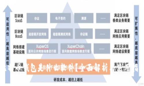 比特币钱包是什么软件？全面解析与使用指南