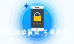 比特币钱包地址解析：不
