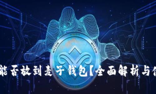 SHIB币能否放到麦子钱包？全面解析与使用指南
