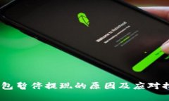 USDT钱包暂停提现的原因及