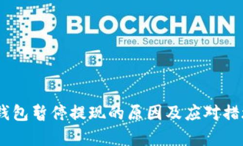 USDT钱包暂停提现的原因及应对措施解析
