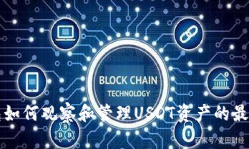 TP钱包如何观察和管理USDT资产的最佳实践