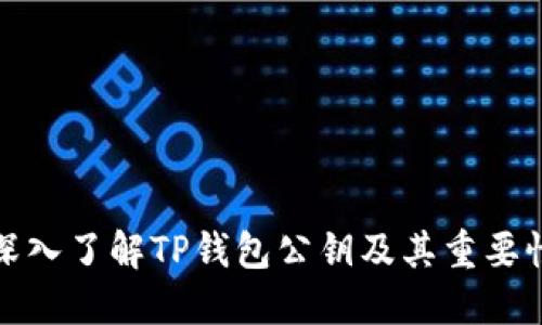 深入了解TP钱包公钥及其重要性