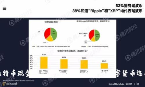 比特币现金手机钱包：安全、便捷的数字货币选择
