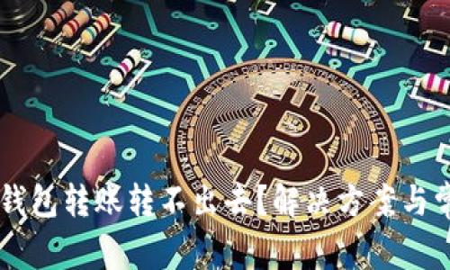 新导入的TP钱包转账转不出去？解决方案与常见问题解析