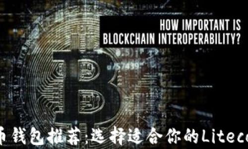 
LTC数字货币钱包推荐：选择适合你的Litecoin存储方案