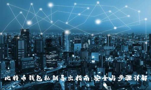 比特币钱包私钥导出指南：安全与步骤详解