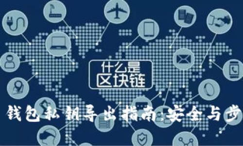 比特币钱包私钥导出指南：安全与步骤详解