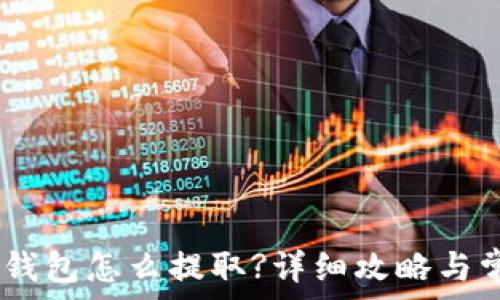  
USDT小金库钱包怎么提取?详细攻略与常见问题解析