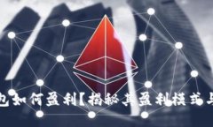 TP钱包如何盈利？揭秘其盈