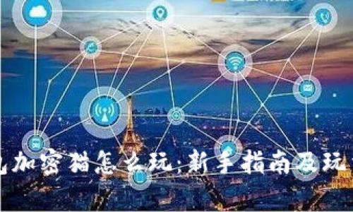 TP钱包加密猫怎么玩：新手指南及玩法解析