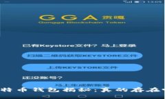 比特币钱包揭秘：真的存