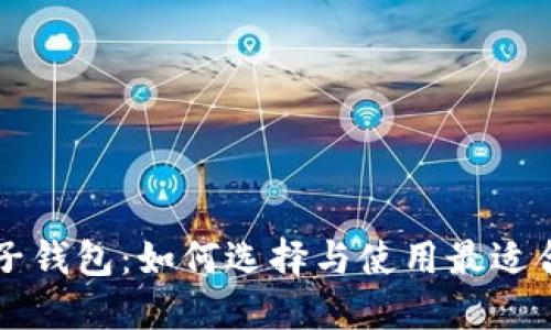 以太坊电子钱包：如何选择与使用最适合你的钱包