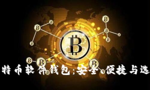 探秘比特币软件钱包：安全、便捷与选择指南