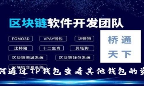 如何通过TP钱包查看其他钱包的资产