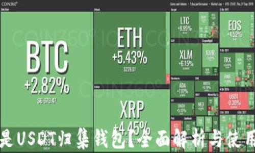 
什么是USDT归集钱包？全面解析与使用指南
