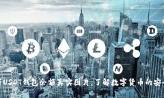 揭秘百万USDT钱包余额真实